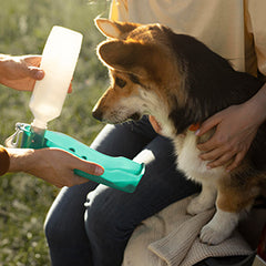 Collection image for: Animal Hygiene