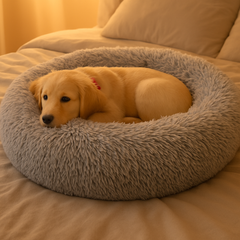 Collection image for: PET Supplies