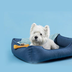 Collection image for: Pet Bed