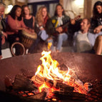 20KG Ready to Burn Kiln Dried Wooden Logs 5