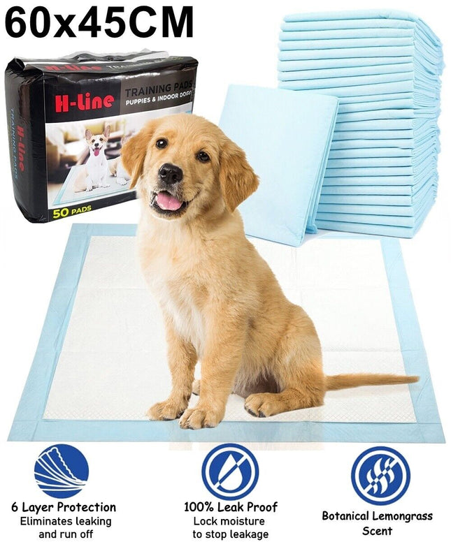 Heavy-Duty Absorbent Dog Training Pads