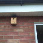 TRADITIONAL WOODEN BIRD NESTING BOX WOOD NEST HOUSE SMALL BIRDS BLUETIT ROBIN 4