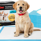 Heavy-Duty Absorbent Dog Training Pads
