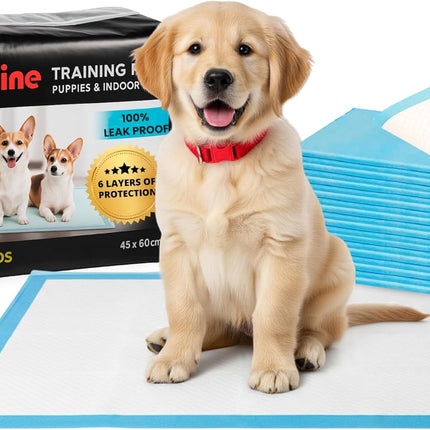 Heavy-Duty Absorbent Dog Training Pads