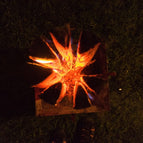 Kiln Dried Swedish Torch Logs 2