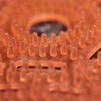 10 Pack of Gel Urinal Screens in 4 Fragrances 3